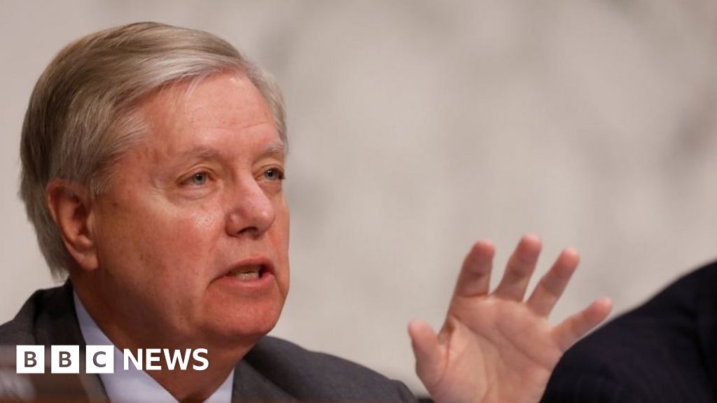 Senator Lindsey Graham Questions Trump Business Deals Bbc News