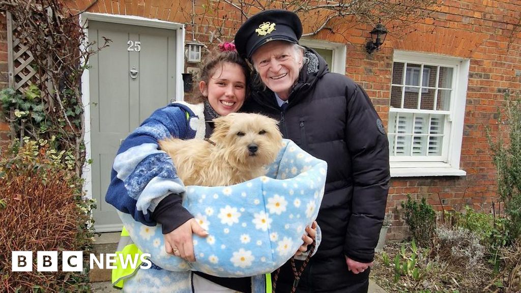 Lewis Capaldi Music Video Stars Terrier From Worcester