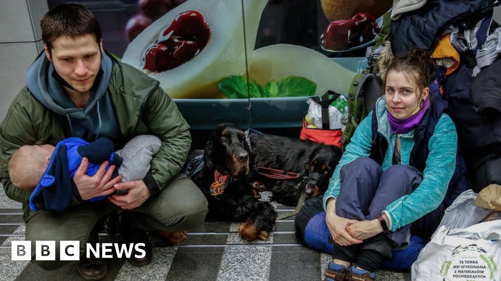 Ukrainian Refugees Allowed To Bring Pets To Northern Ireland - BBC News