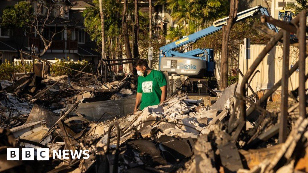 Горски пожари в Хавай: Екипите може да открият 10 до 20 жертви на горски пожар на ден - губернатор