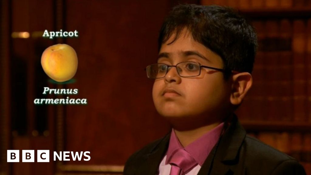 Child Genius 12yearold Rahul wins Channel 4 show BBC News