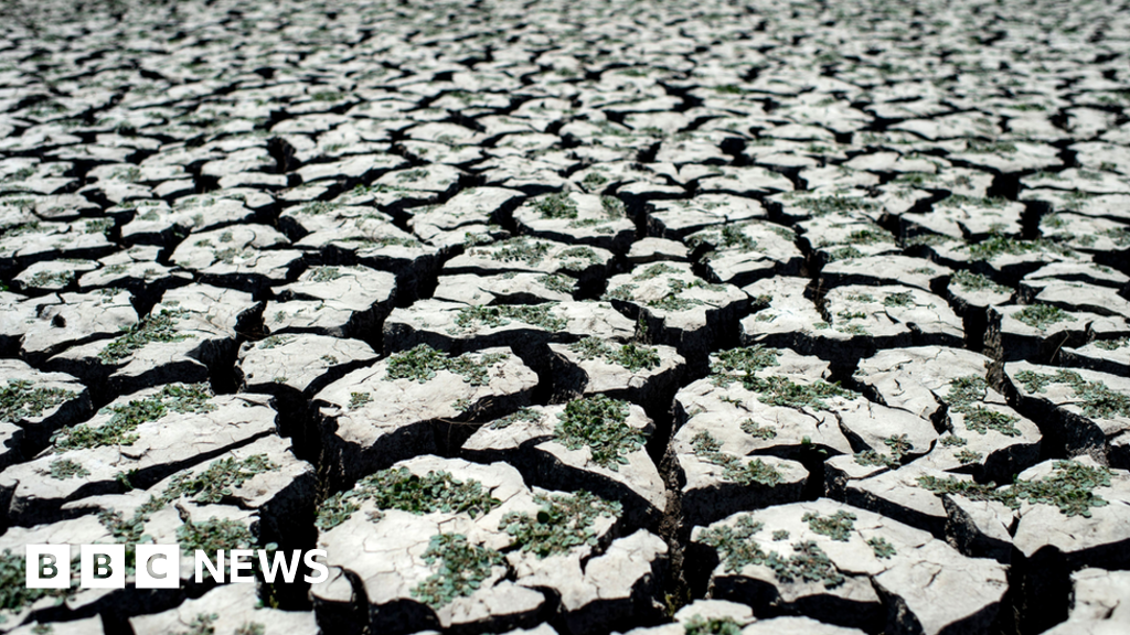 Climate change: the world must not forget  deeper distress 