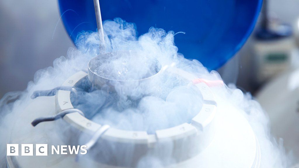 Клиники «вводят в заблуждение» пациентов, замораживающих яйцеклетки
