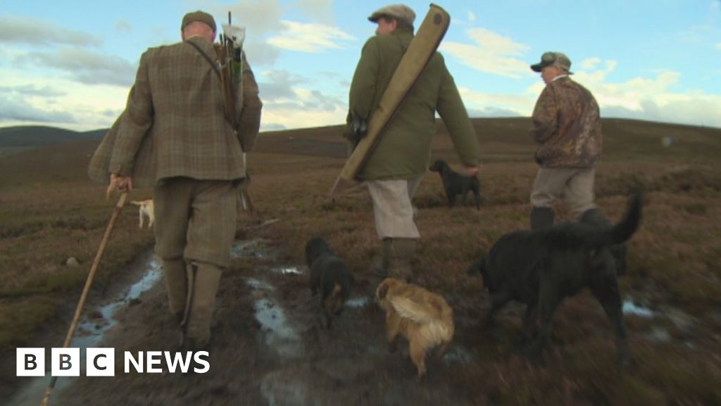 Extreme weather hits Scotland's grouse shooting season BBC News