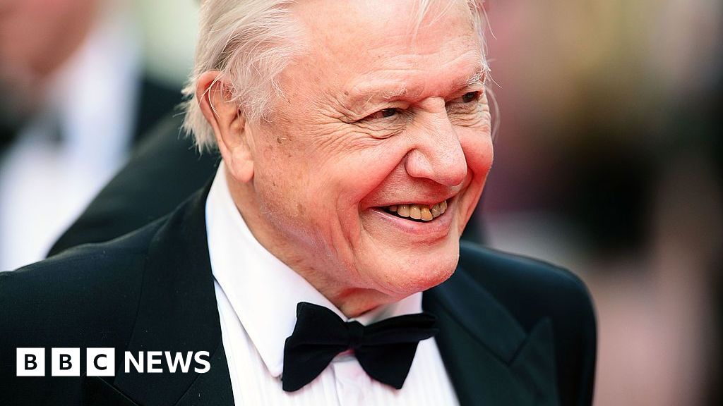 Parents name newborn after Attenborough on 100th birthday