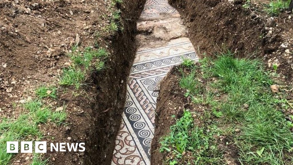 Roman mosaic floor found under Italian vineyard