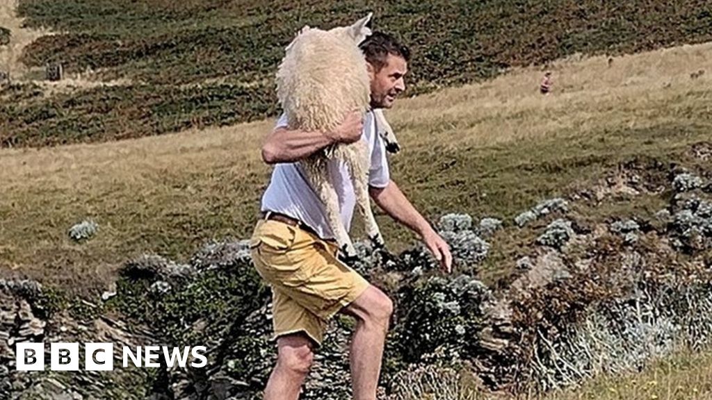 Die Schafrettung eines Mannes aus Pershore auf einer Klippe sorgt weltweit für Schlagzeilen