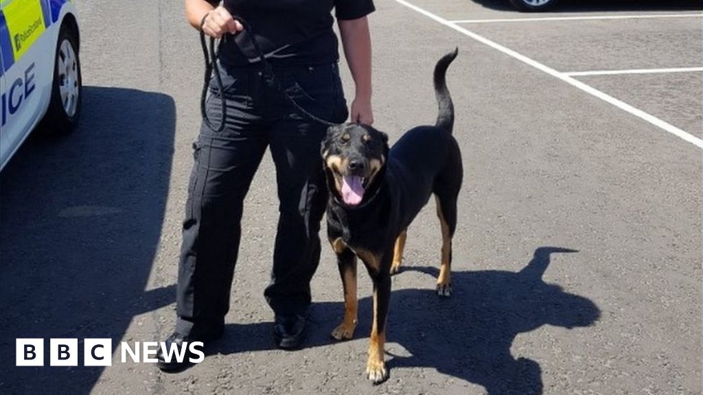Police in North East Fife rescue 'boiling' dog from car