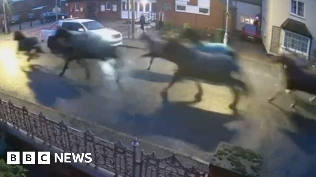 Watch: Runaway horses gallop through East Leake streets