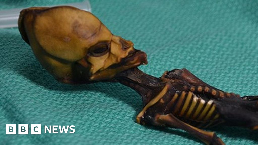 Origin of 'six-inch mummy' confirmed