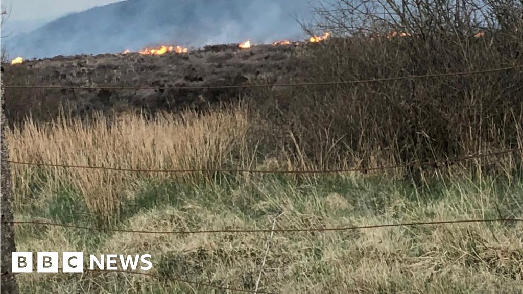 Fire crews attending large County Tyrone gorse fire