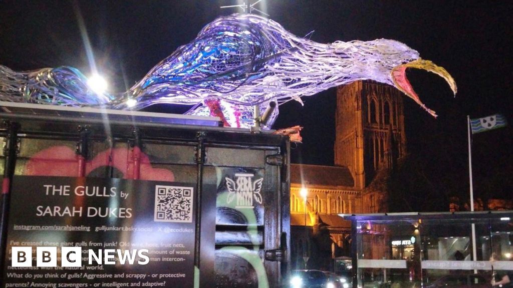 Trash art reflects city centre gulls debate
