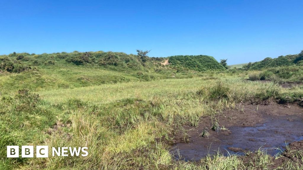 Event aims to celebrate peatland heritage