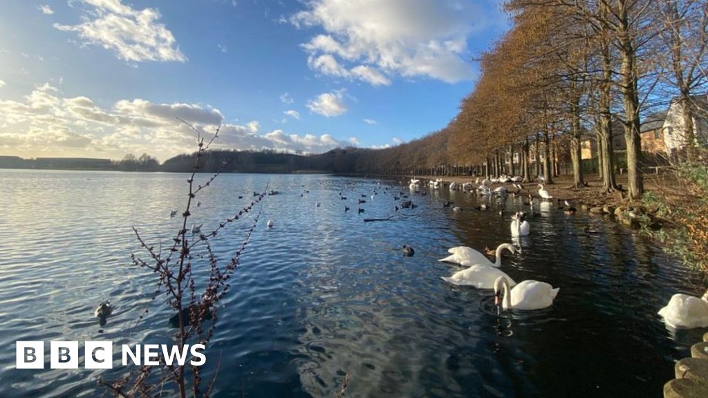 Bird flu: Doncaster Lakeside warning after cases confirmed 