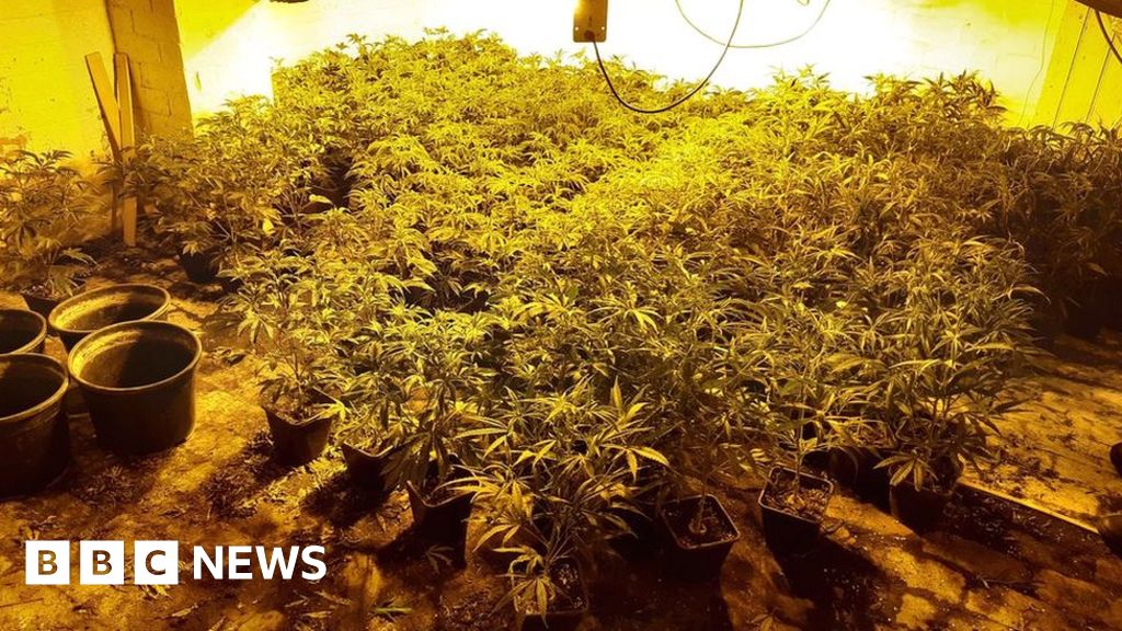 Man Charged Over Doncaster £500k Cannabis Farm Discovery 6203