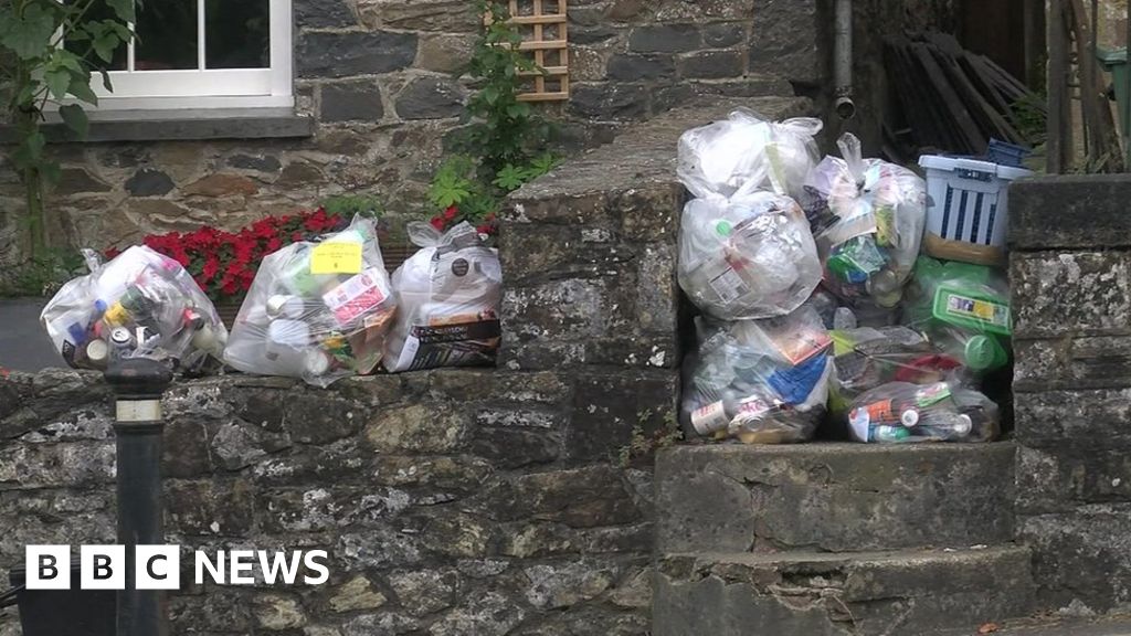 Working from home blamed for Leeds bin collection cost rise