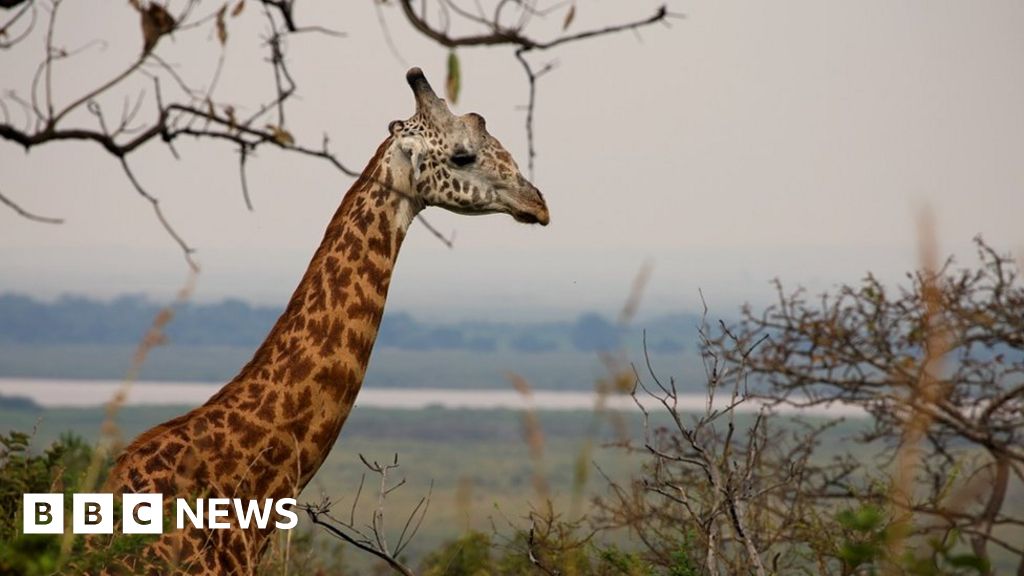 Nature: Throwing money at biodiversity schemes is ineffective