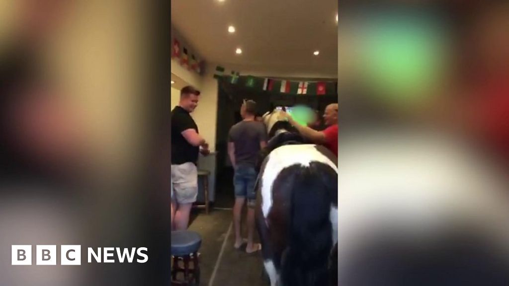 Horse walks into a bar for England win