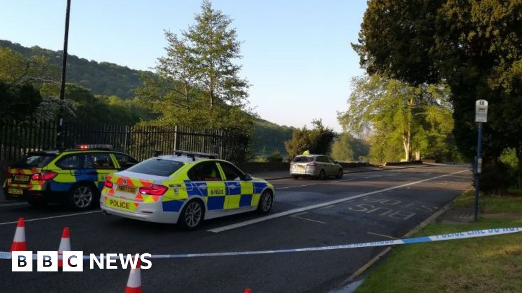 Driver dies when car crashes into Sheffield pond - BBC News