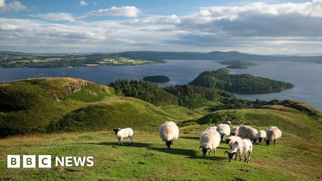 Scottish Parliament passes land reform bill which could force break up of huge estates