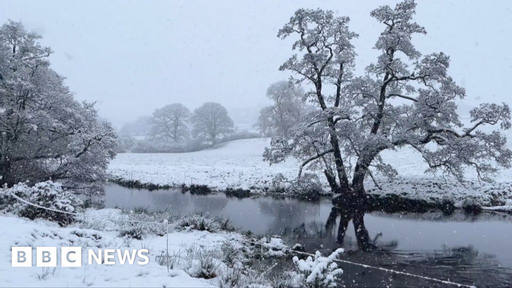Watch: Snowy scenes as cold snap hits UK