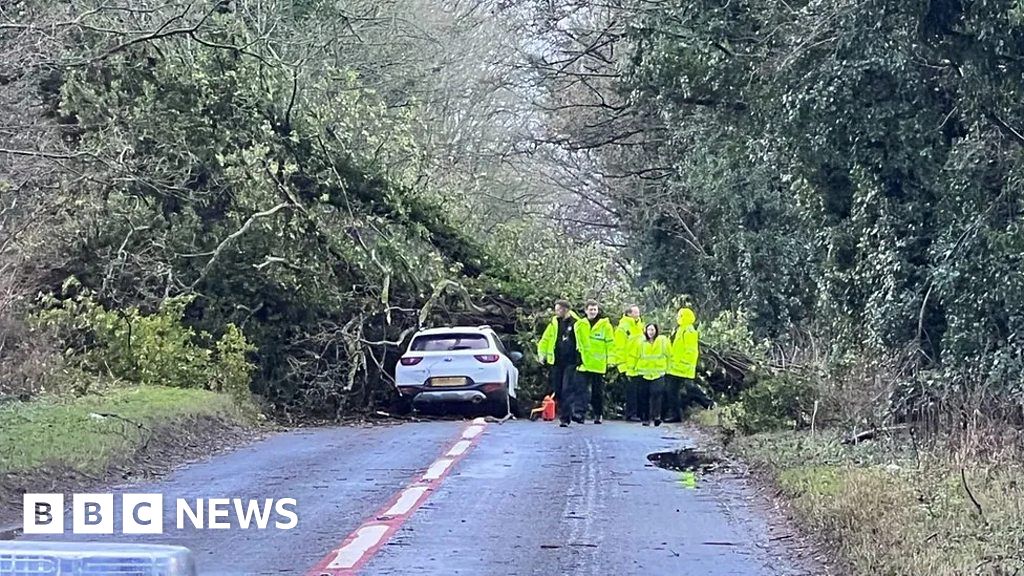 Man dies after tree falls on car during Storm Henk