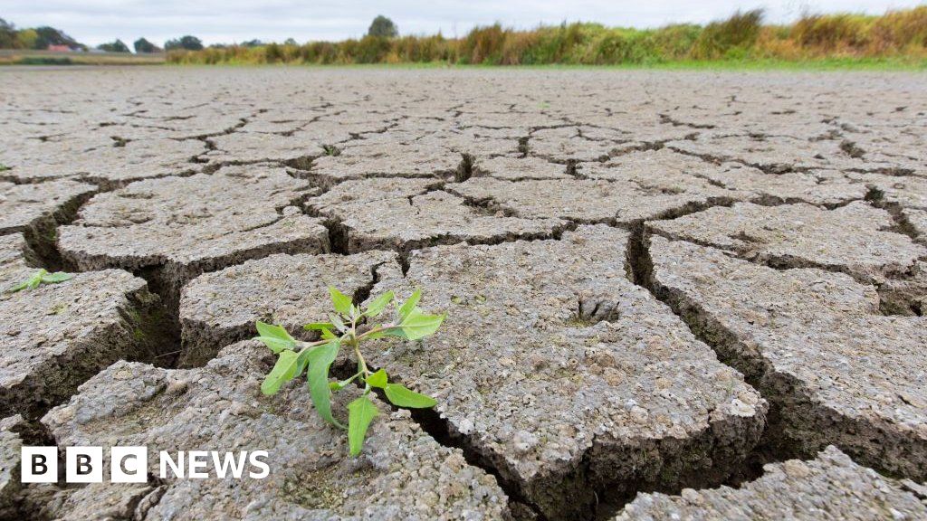 Thunderstorms: Why drought can lead to dangerous flooding