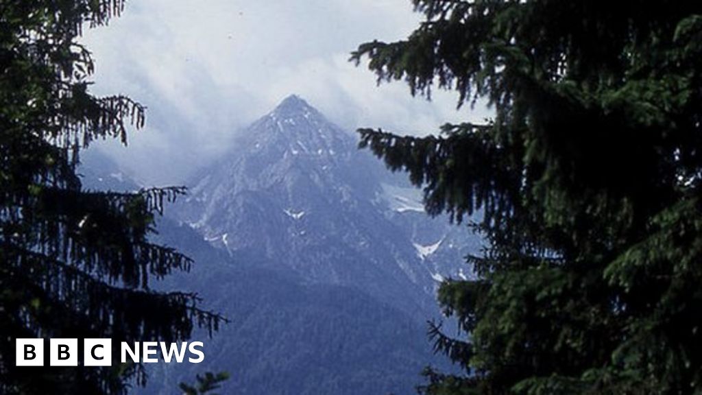 Scientists unlock Alpine trees' molecular defence - BBC News