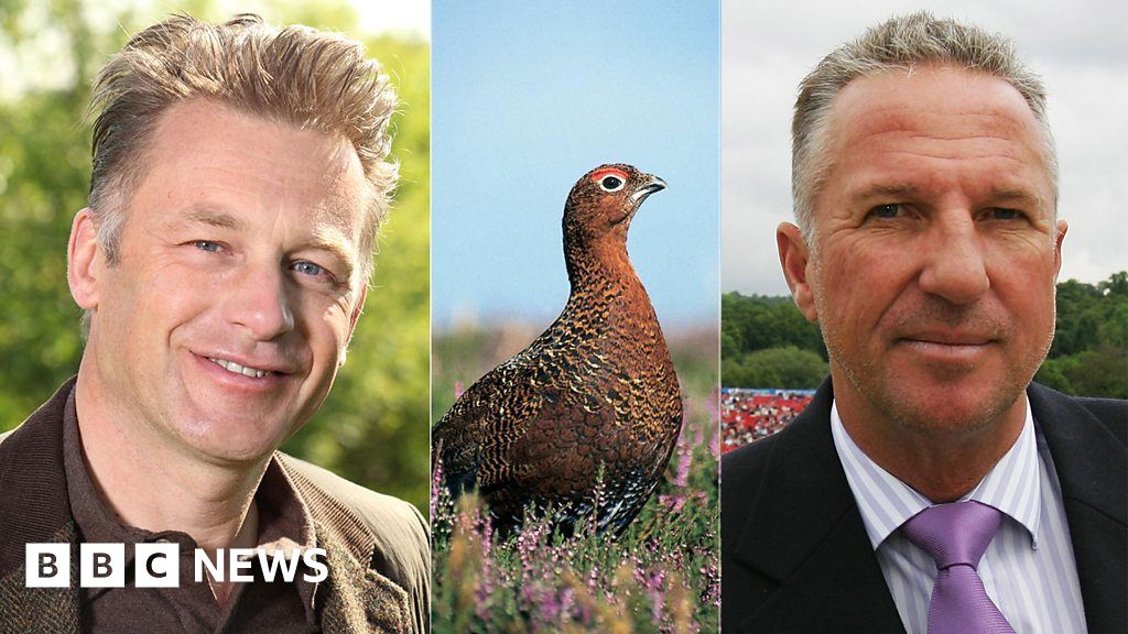 Sir Ian Botham And Chris Packham Clash Over Grouse Shoot - BBC News