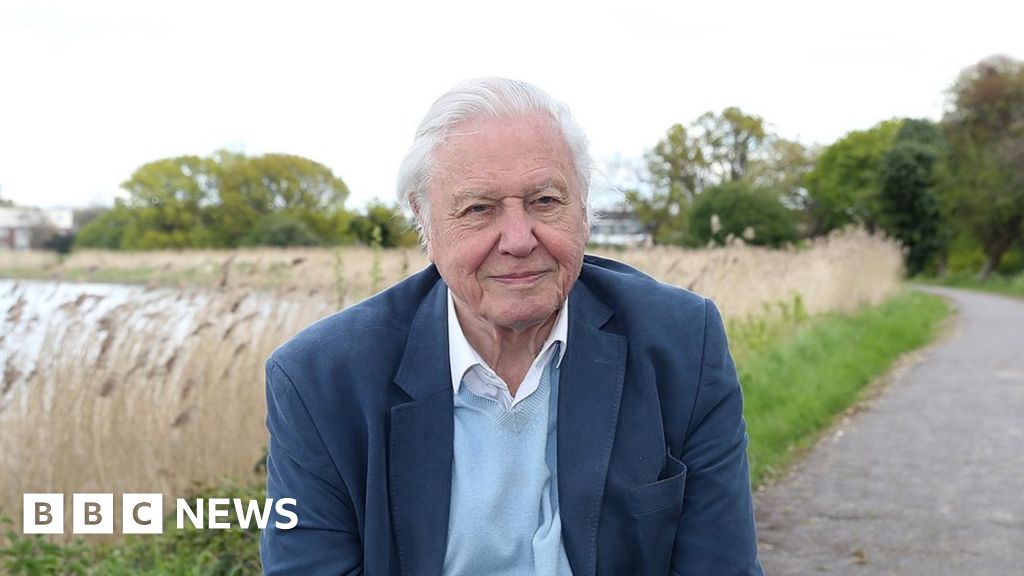 Sir David Attenborough warns of climate 'crisis moment'