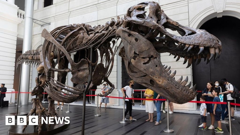 T. rex auction cancelled after skeleton doubts raised