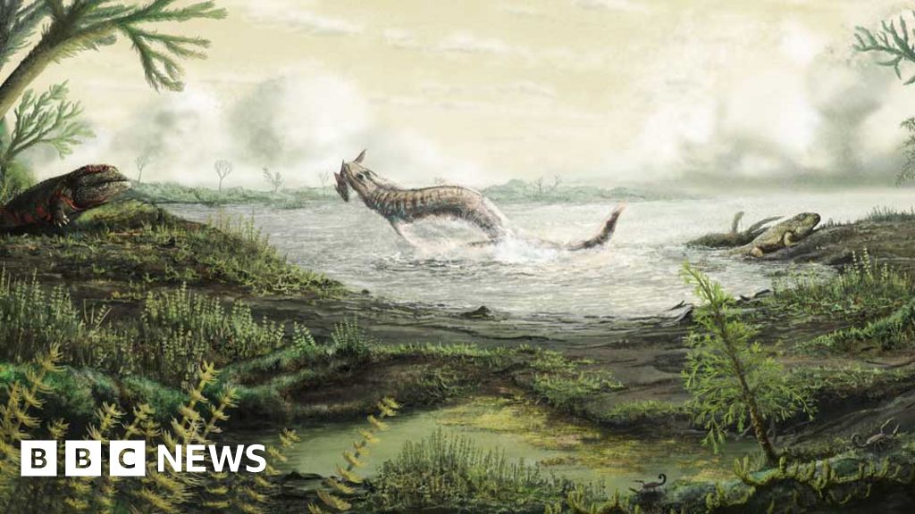 Scottish fossils tell story of first life on land BBC News