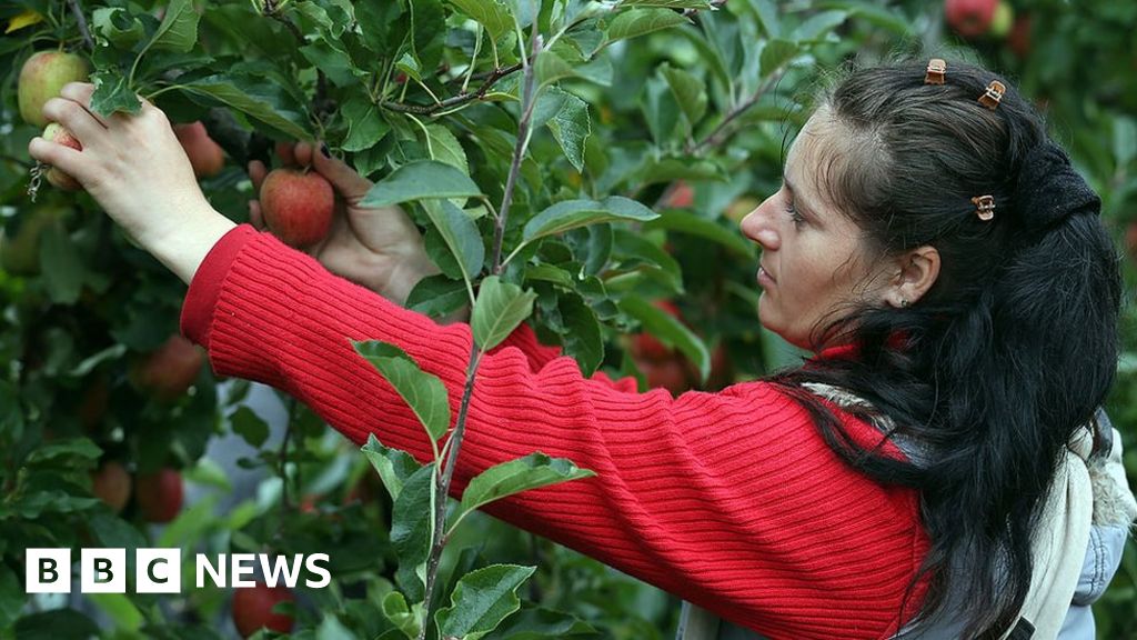Eastern Europeans, which will be flown, with fresh fruit and vegetables