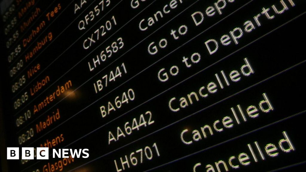 Stansted 15 Surrounded Deportation Plane Bbc News 