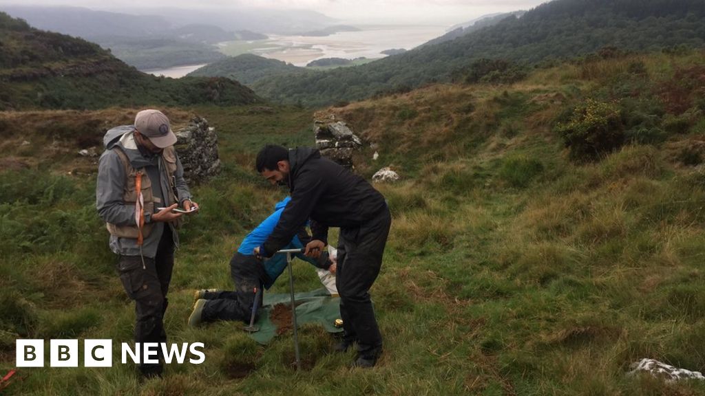 Dolgellau gold belt: Could mining resume in Welsh hills? - BBC News