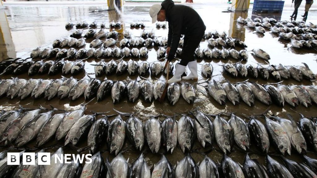 후쿠시마: 중국, 하수 처리 계획에 대한 일부 일본 식품 금지 연장