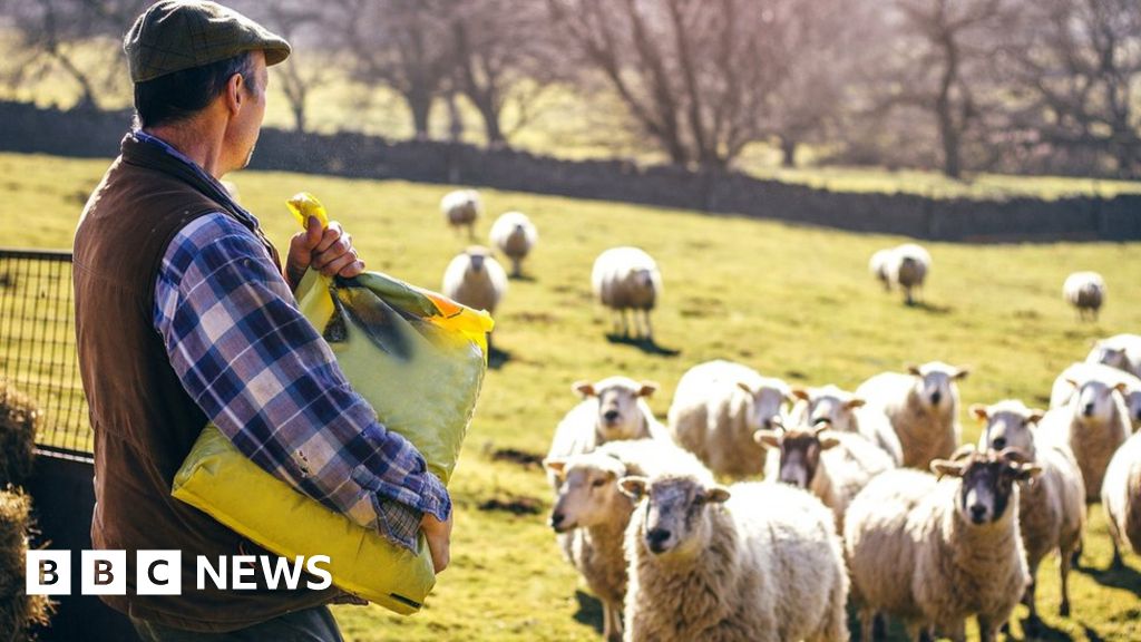 Farmers 'betrayed' by no-deal Brexit tariff plan