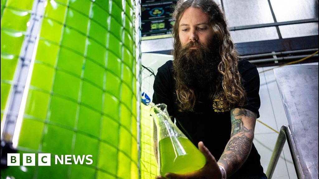 Climate change: The craft brewery using algae to cut emissions