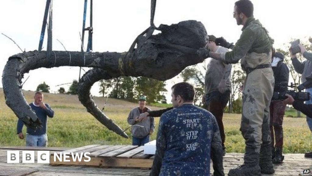 Woolly mammoth skeleton unearthed by Michigan farmers - BBC News