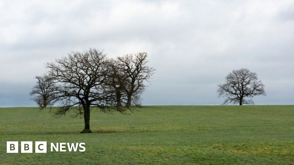 Charity buys Somerset land in bid to open 48 nature reserves