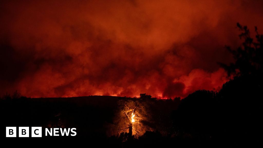 ‘Anger and grief’ as Athens wildfires continue overnight