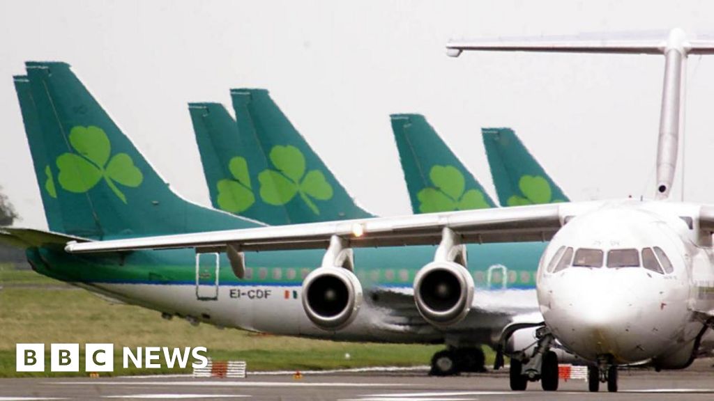 Aer Lingus pilots’ industrial action will disrupt flights