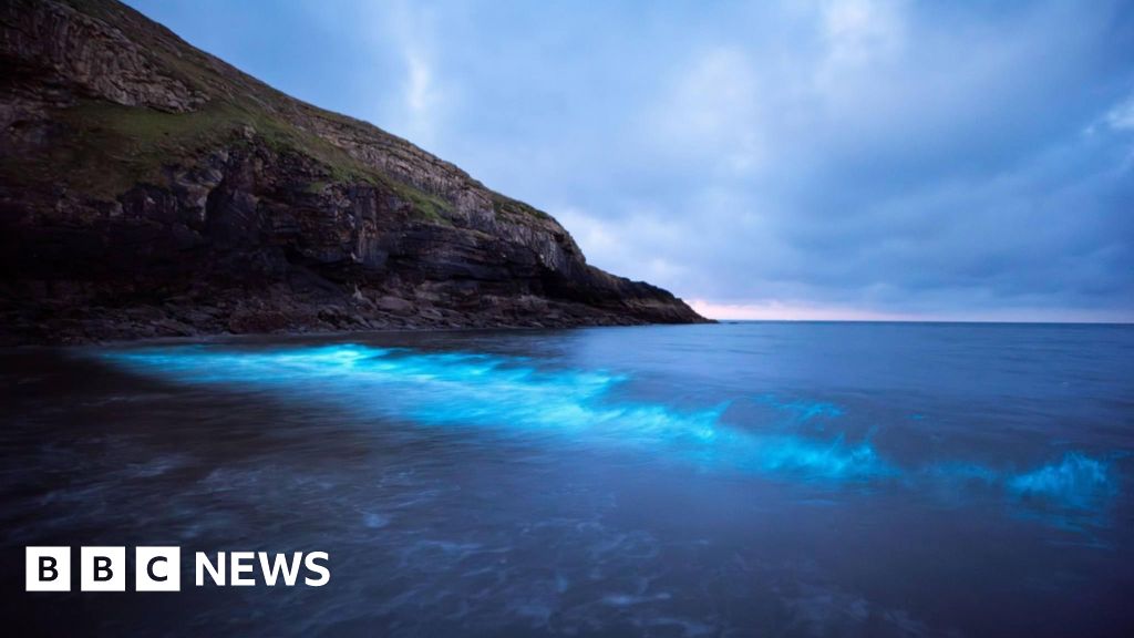 Man's joy at Northern Lights and glowing plankton sea shots