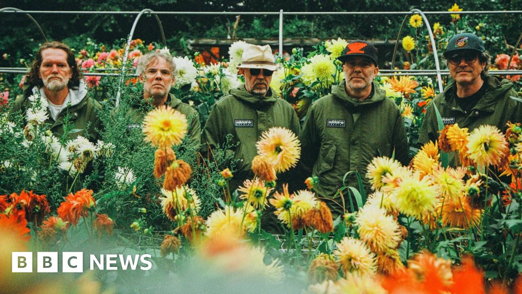 Super Furry Animals Plan First UK Ireland Tour in Decade for 30th Anniversary