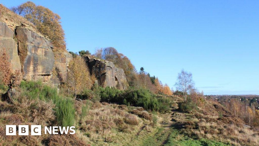 More trees and nature spaces in council green plan