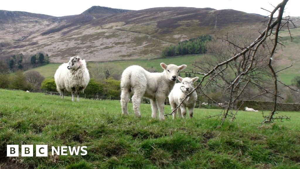 bbc.co.uk - Peter Saull - East Midlands mayor looking forward to bringing in tourism tax - BBC News
