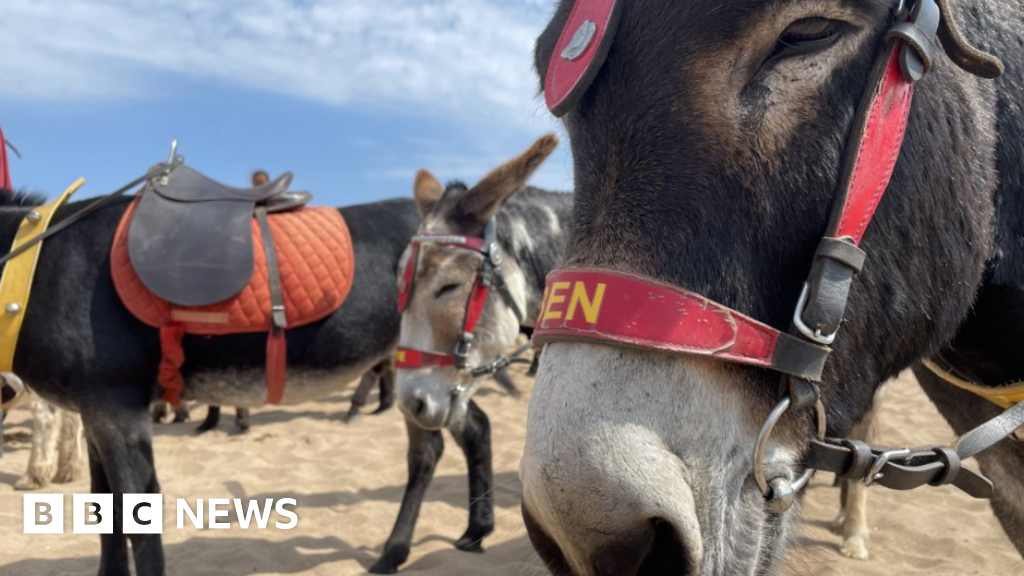 Debate over donkey riding in Weston-super-Mare