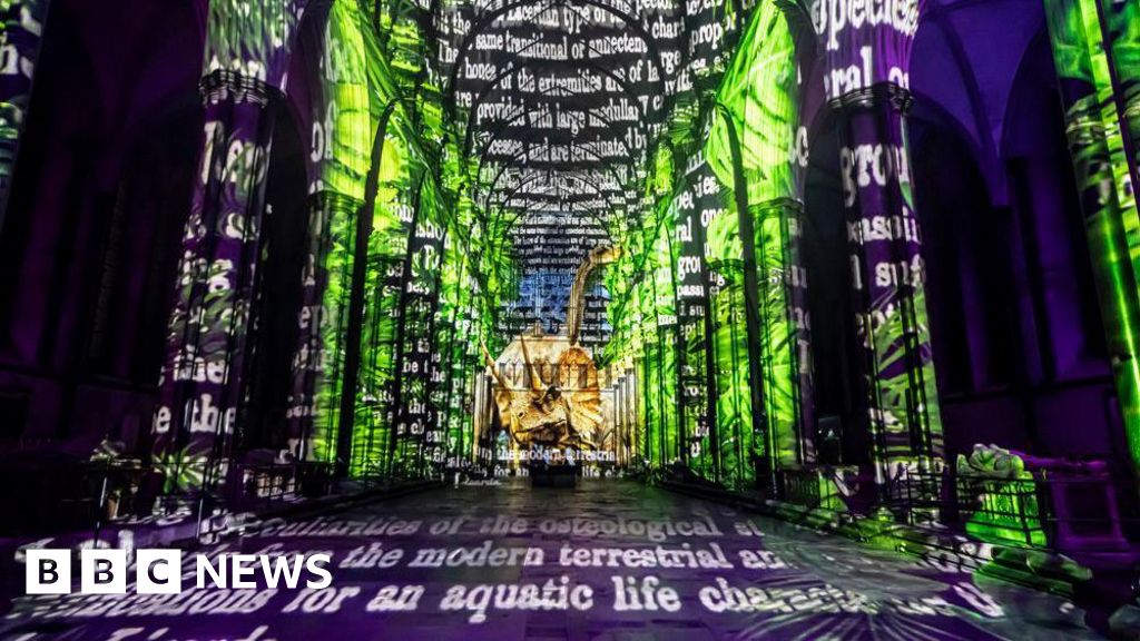 Wiltshire in Pictures: Light shows and firework fun