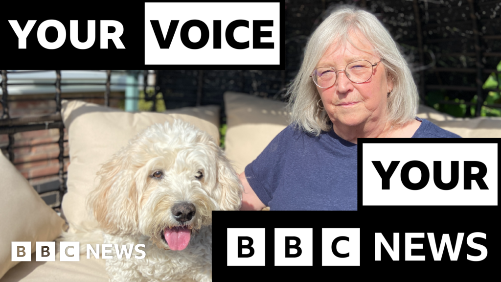More pets being put down due to rising vet bills, BBC told