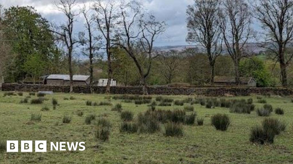 Multiple Housing Developments Approved Amid Local Objections Across US, Canada, UK